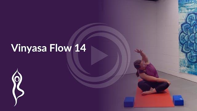Vinyasa Flow 14