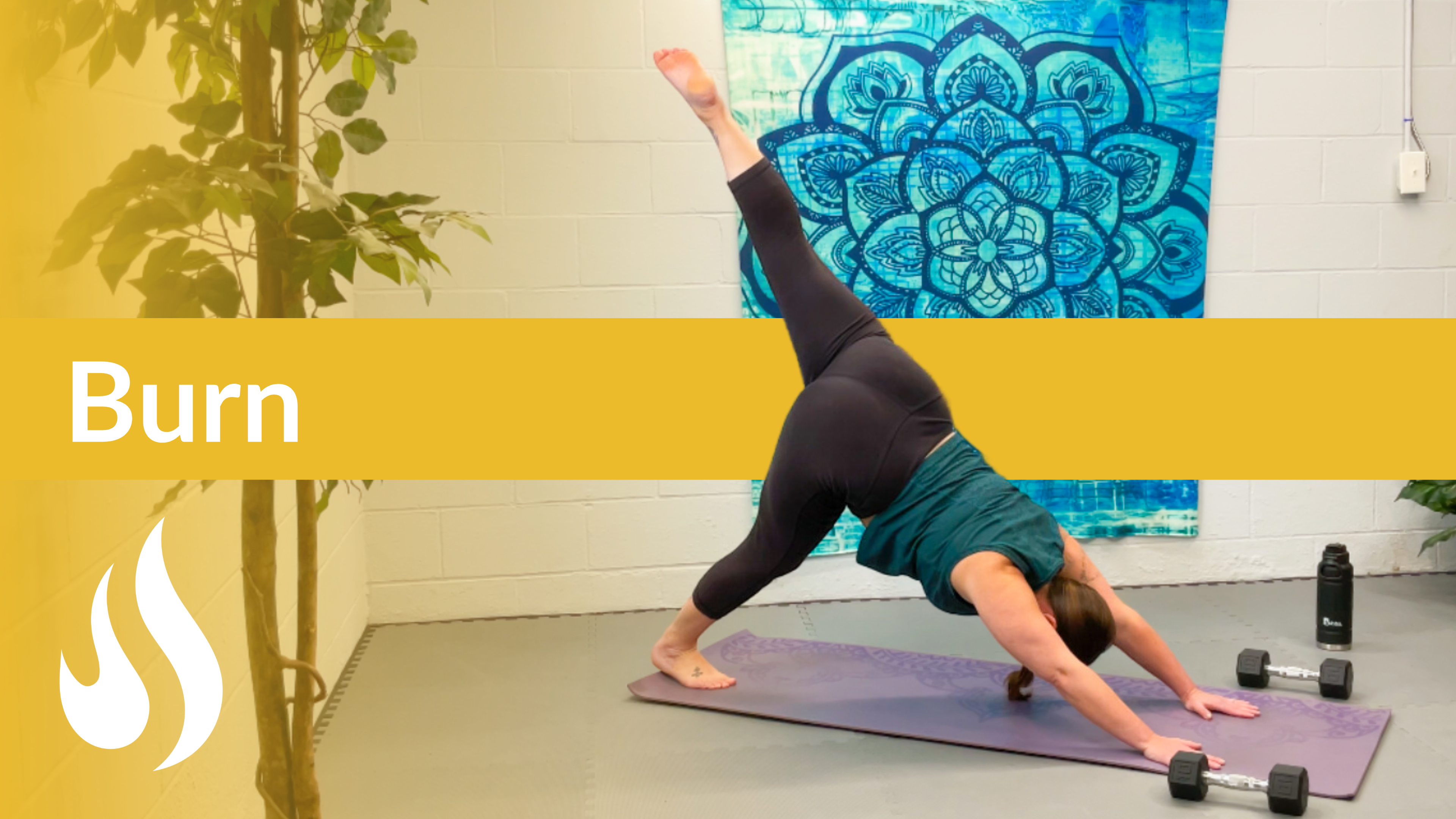Burn