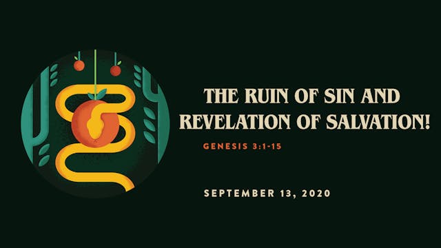 The Ruin of Sin and Revelation of Sal...