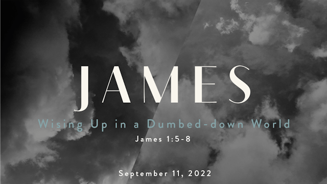 Wising Up in A Dumbed down World // James