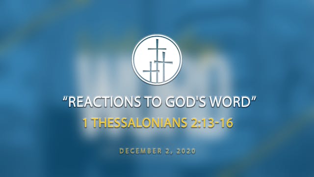 Reactions to God's Word // WW