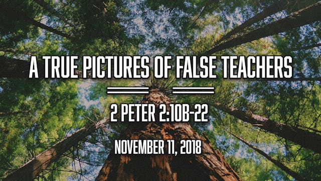 A True Picture of False Teachers
