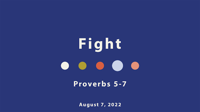 Proverbs_Fight