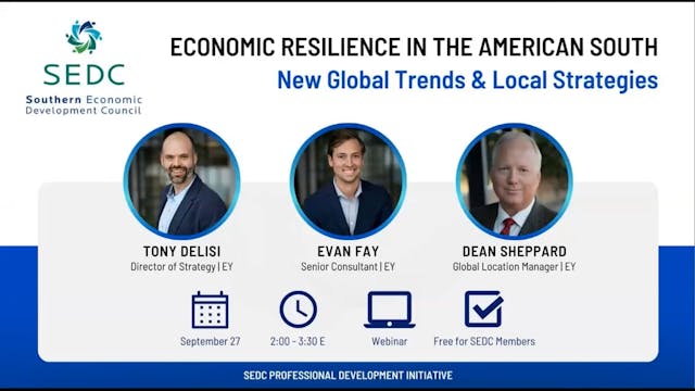 Economic Resilience: New Global Trends and Local Strategies