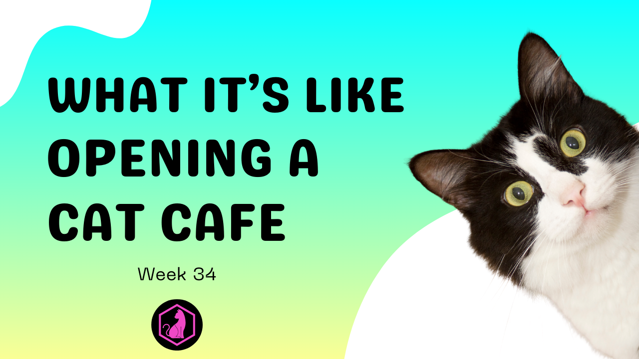 Week 34 Course Video