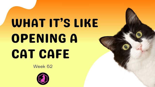 Week 62 Course Video