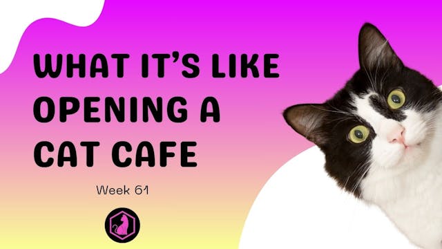 Week 61 Course Video