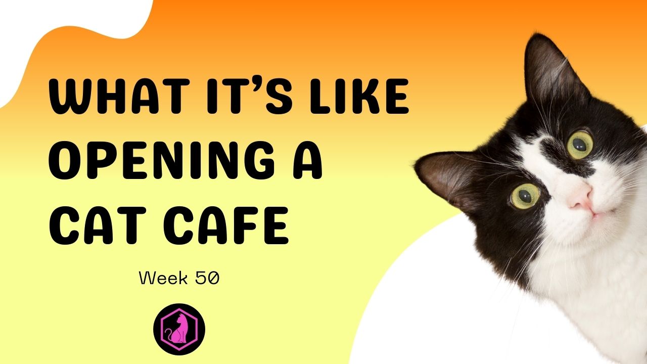 Week 50 Course Video