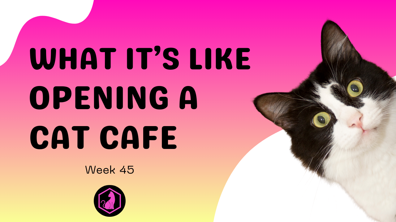 Week 45 Course Video