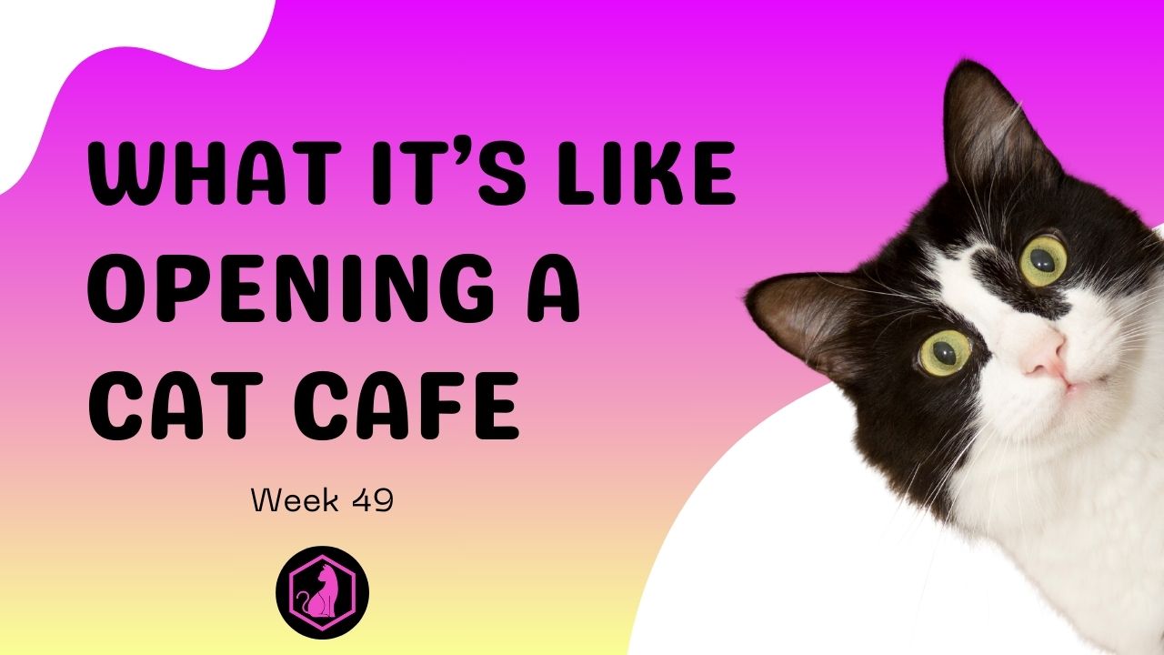 Week 49 Course Video