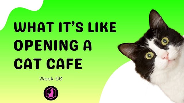 Week 60 Course Video