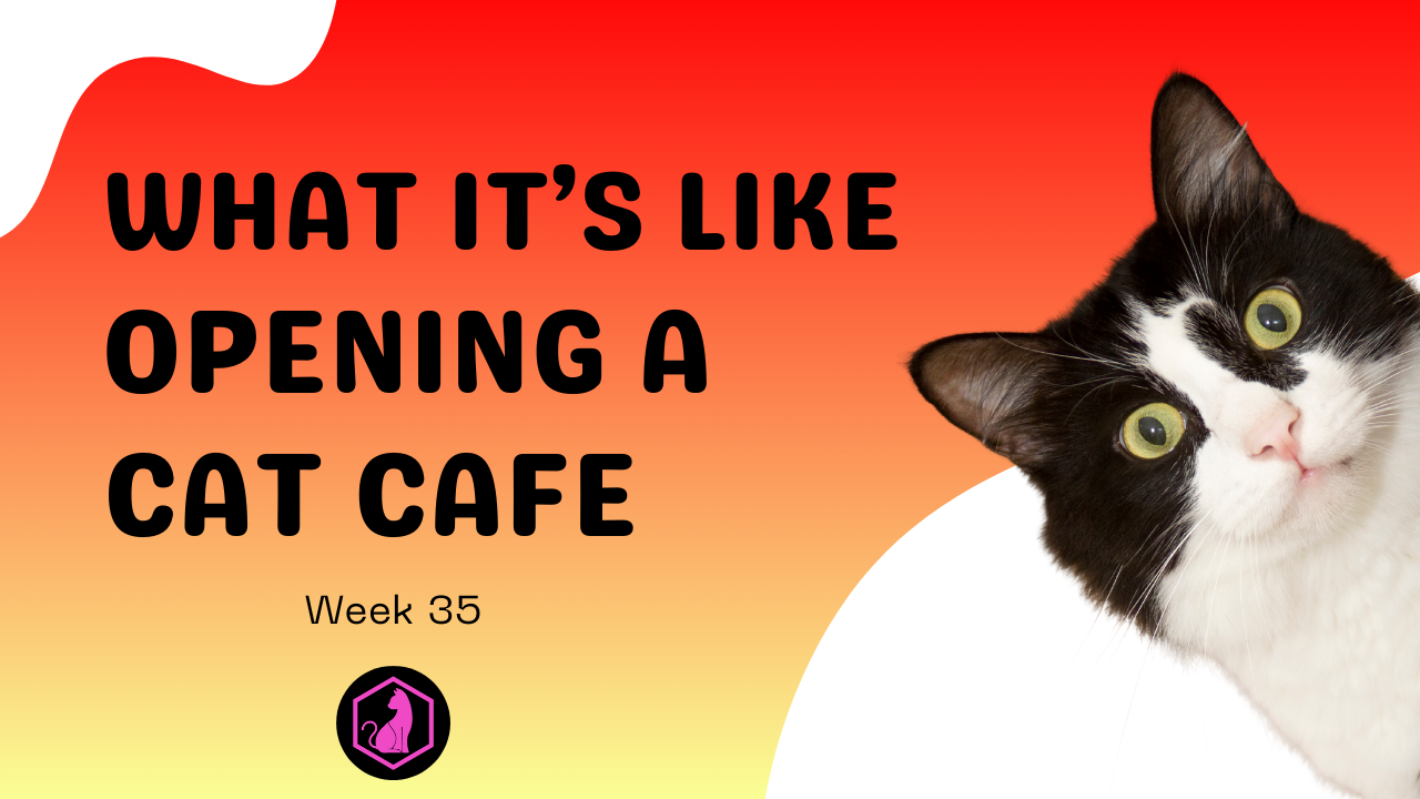 Week 35 Course Video