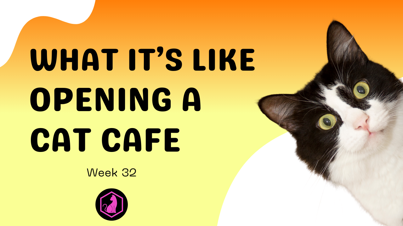 Week 32 Course Video