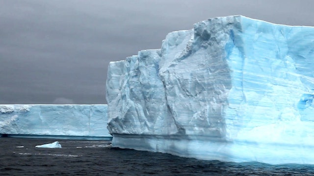 The Fate of Antarctica