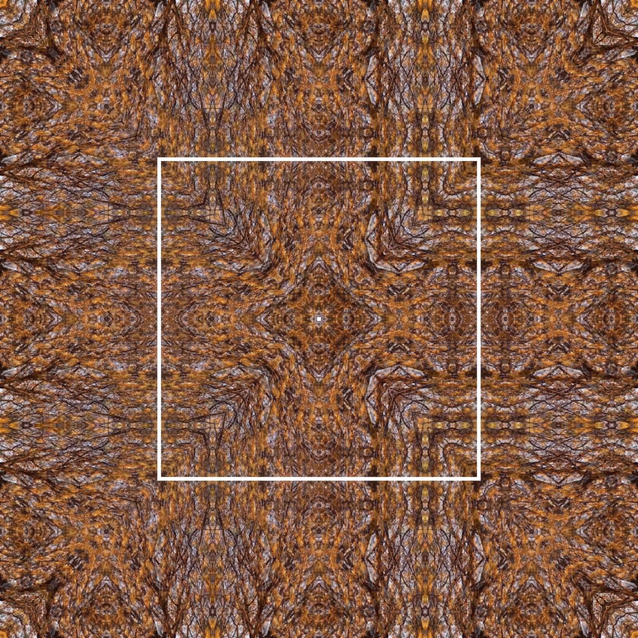 Sensorium (Liveset 1)