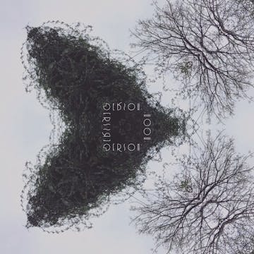 Ecology (Livemix) - trailer