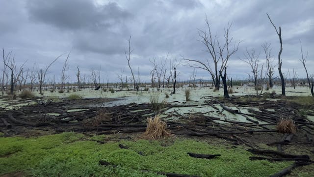 Conquered Landscape (V2025.6)