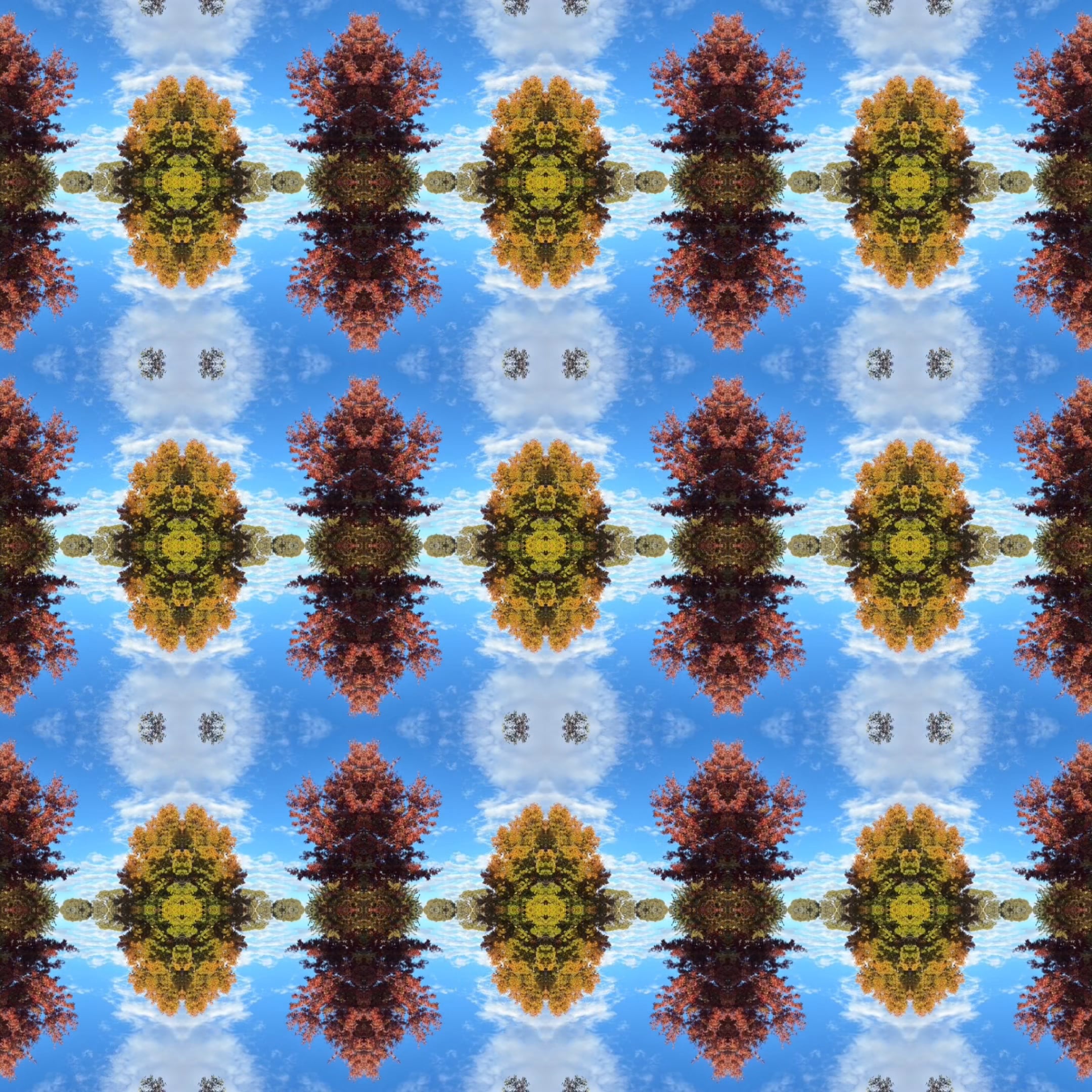 A Floating Meadow Under Melting Snows