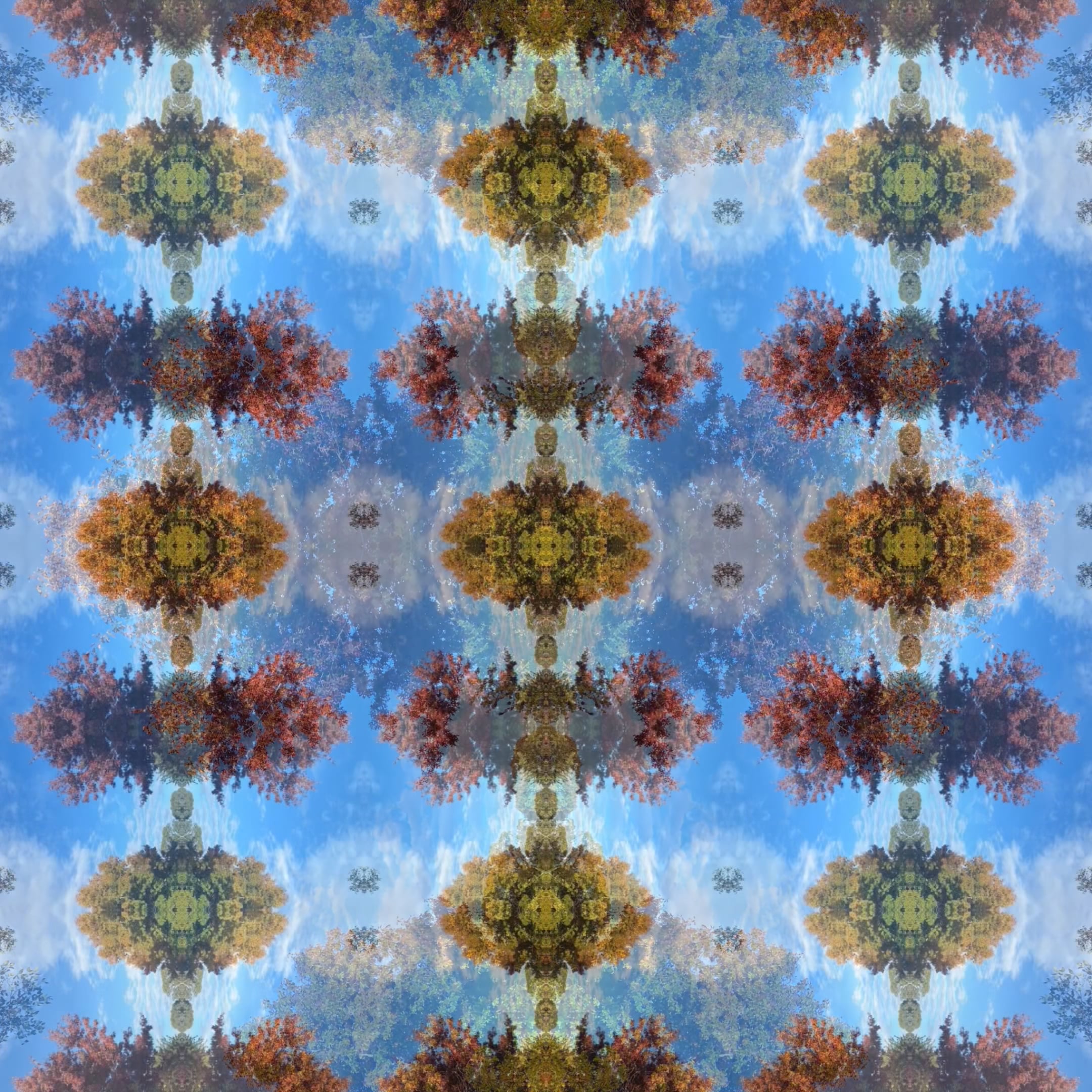 A Floating Meadow Under Melting Snows - Coral Equilibrium Edit