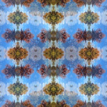 A Floating Meadow Under Melting Snows - Coral Equilibrium Edit