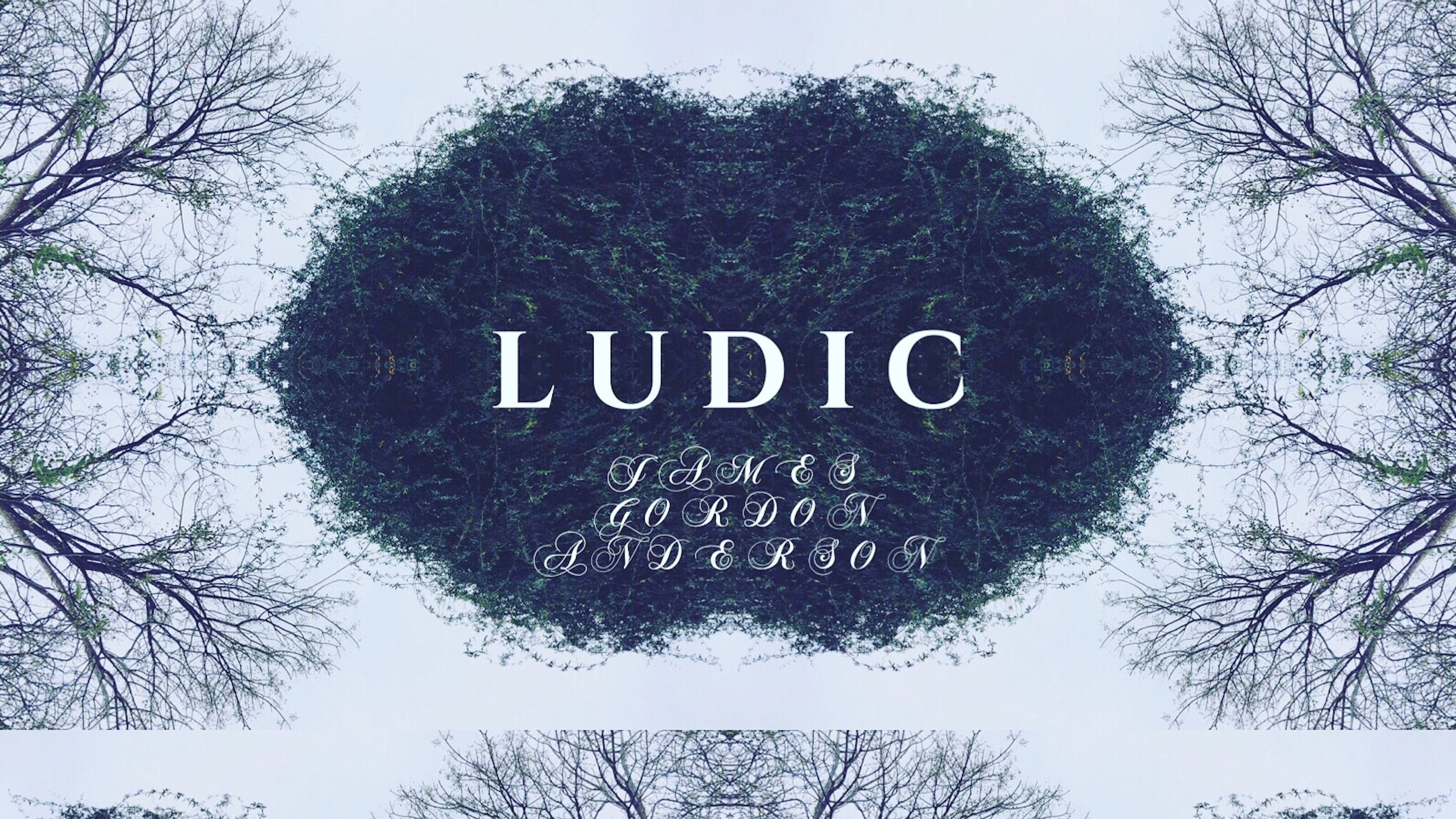 Ludic