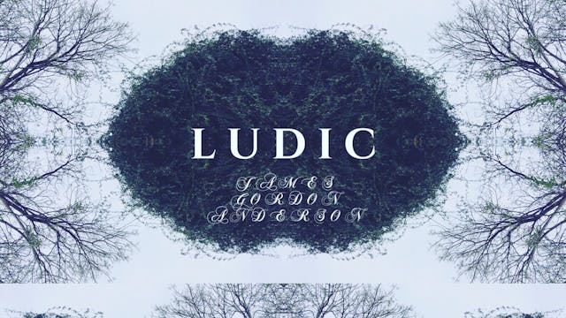 Ludic