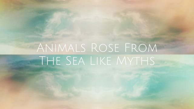 Animals Rose From The Sea Like Myths