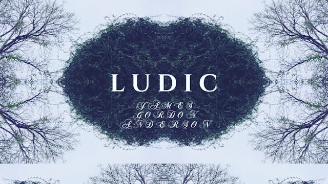 Ludic