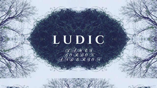 Ludic