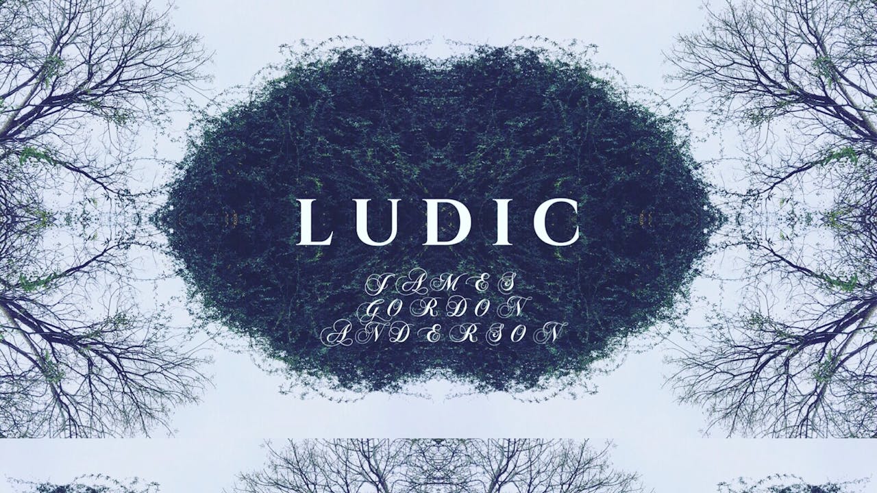 Ludic