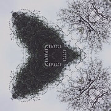 Ecology (Livemix)