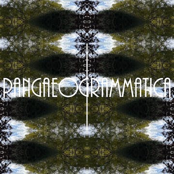 Pangaeogrammatica Fabric D13 [V2024.0...