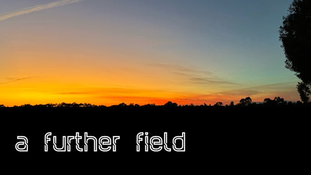 A Further Field