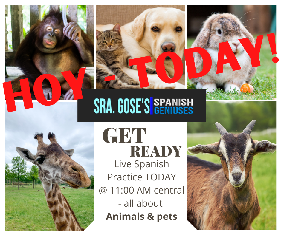 Spanish Geniuses Bonus Session: Jun 30 Pets and Animals