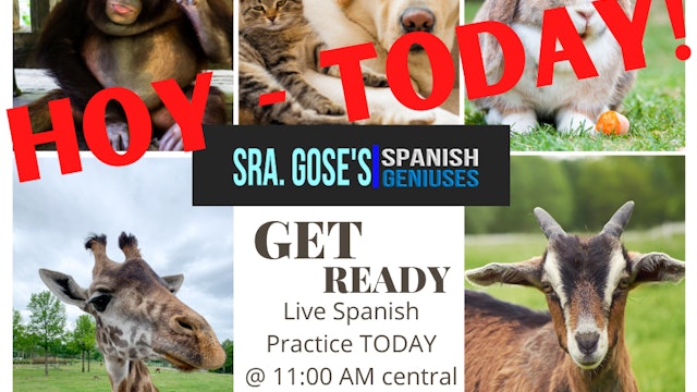 Spanish Geniuses Bonus Session: Jun 30 Pets and Animals