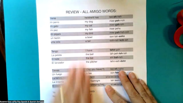 Amigo Final Review