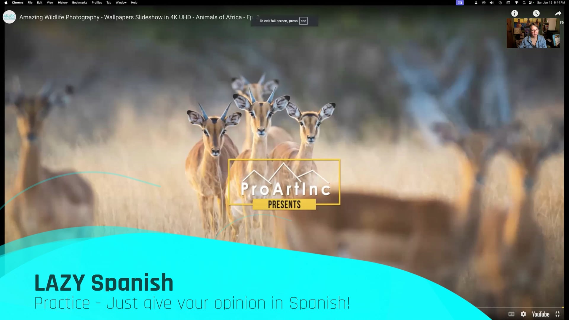 Lazy Spanish Lesson 4 Practice