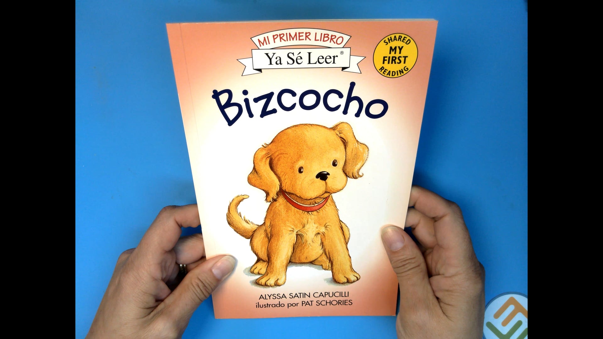 Biscuit Bizcocho