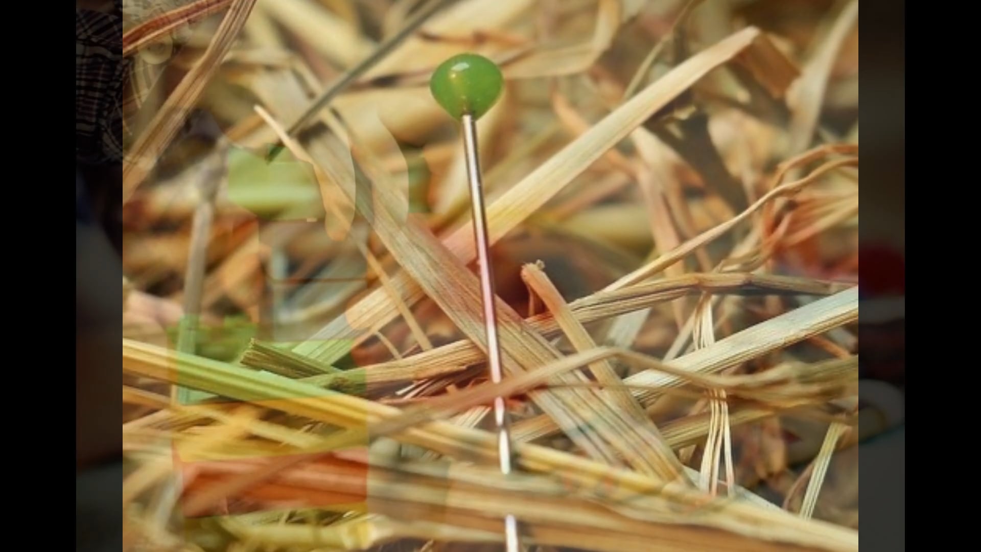 SG Juniors Vocab Lab 3