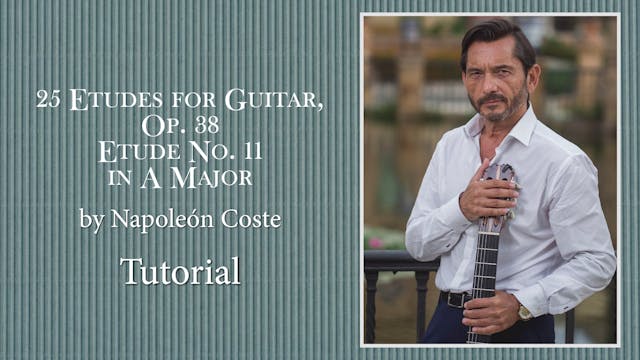 Estudio nº11 Op38 - Napoleon Coste - ...