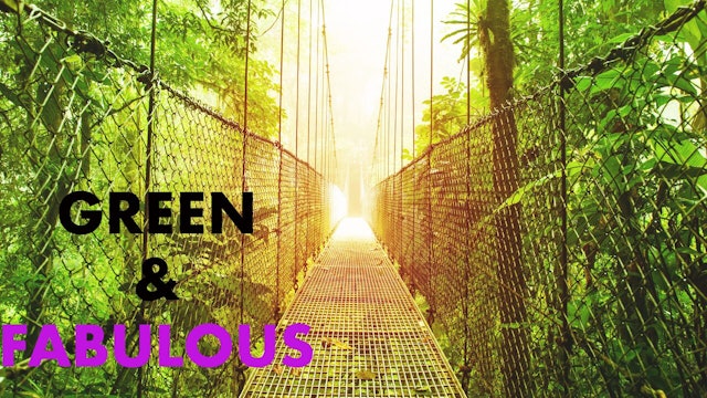 'Green & Fabulous' Episode 2 - Day Without Shoes