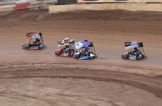 Box Stocks at Millbridge - Highlights...