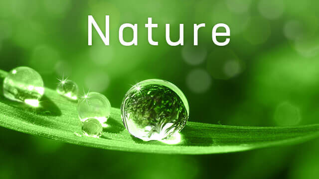 Nature