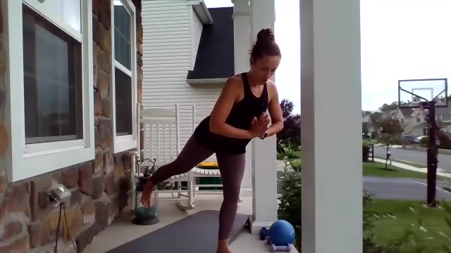 LIVE ZOOM BARRE w Kelly August 2, 2020