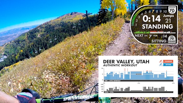 Deer Valley FPV AUTHENTIC - Personal Use