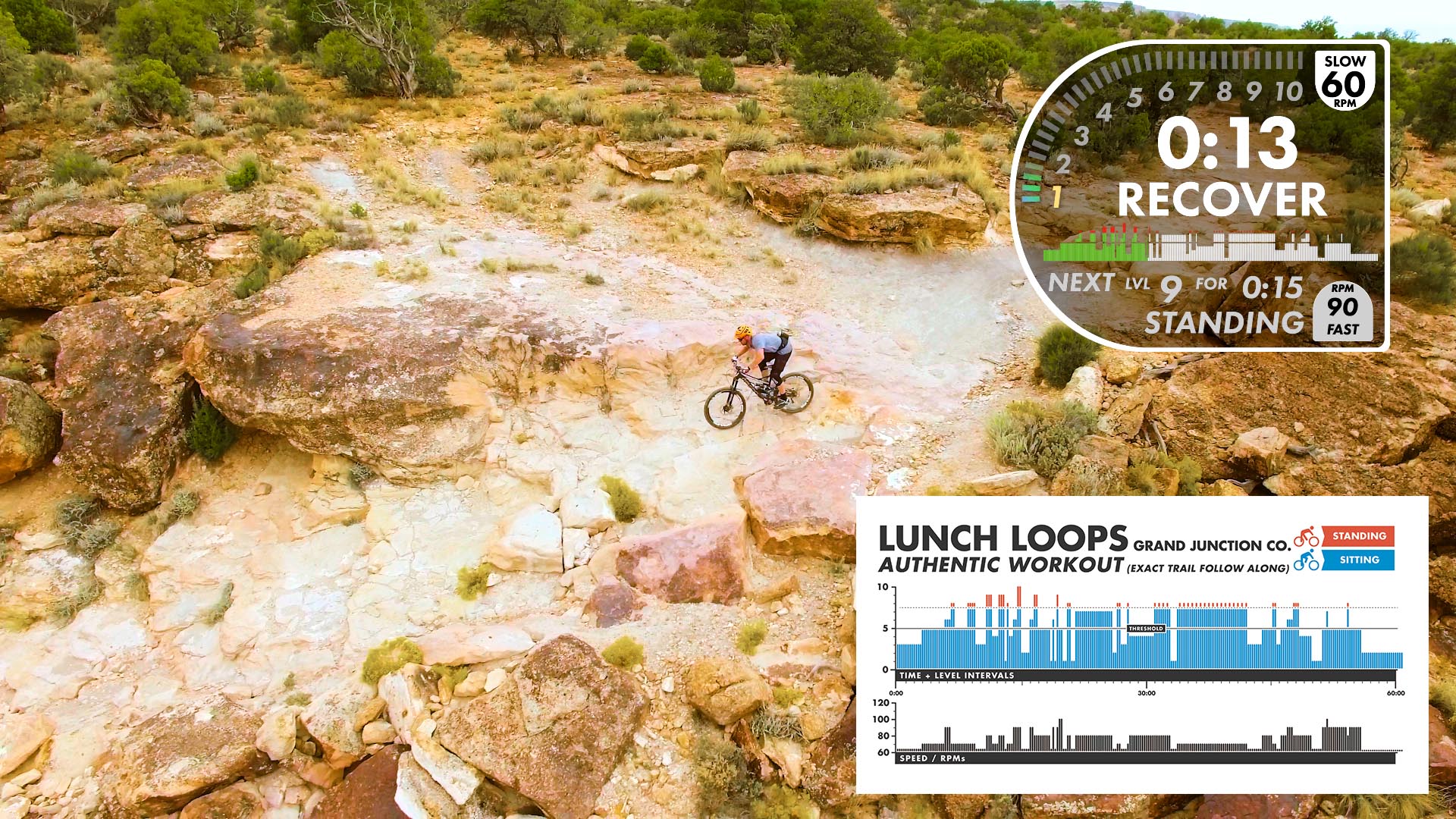 Lunch Loops AUTHENTIC Personal Use