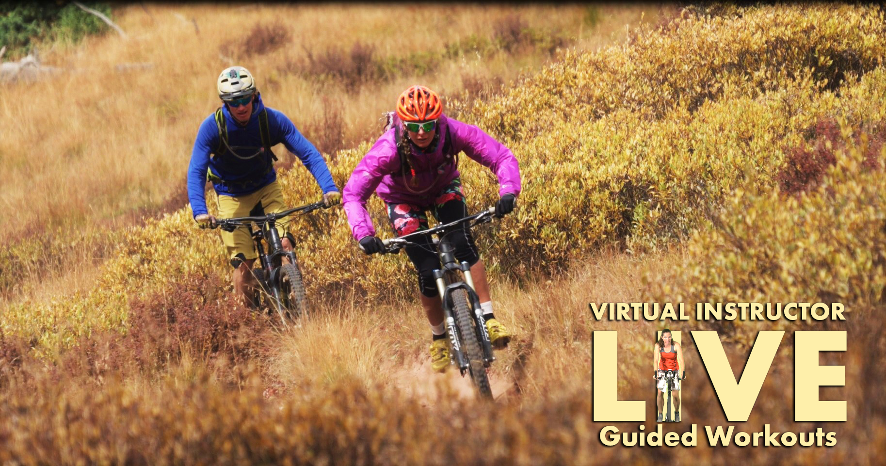 Virtual Instructor Videos