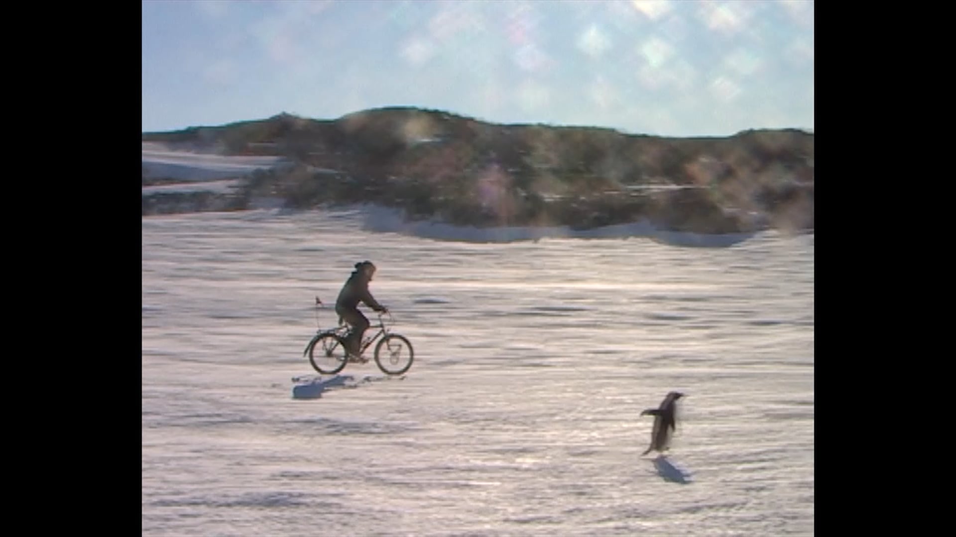 Antarctica 2 | Extracted Clip 