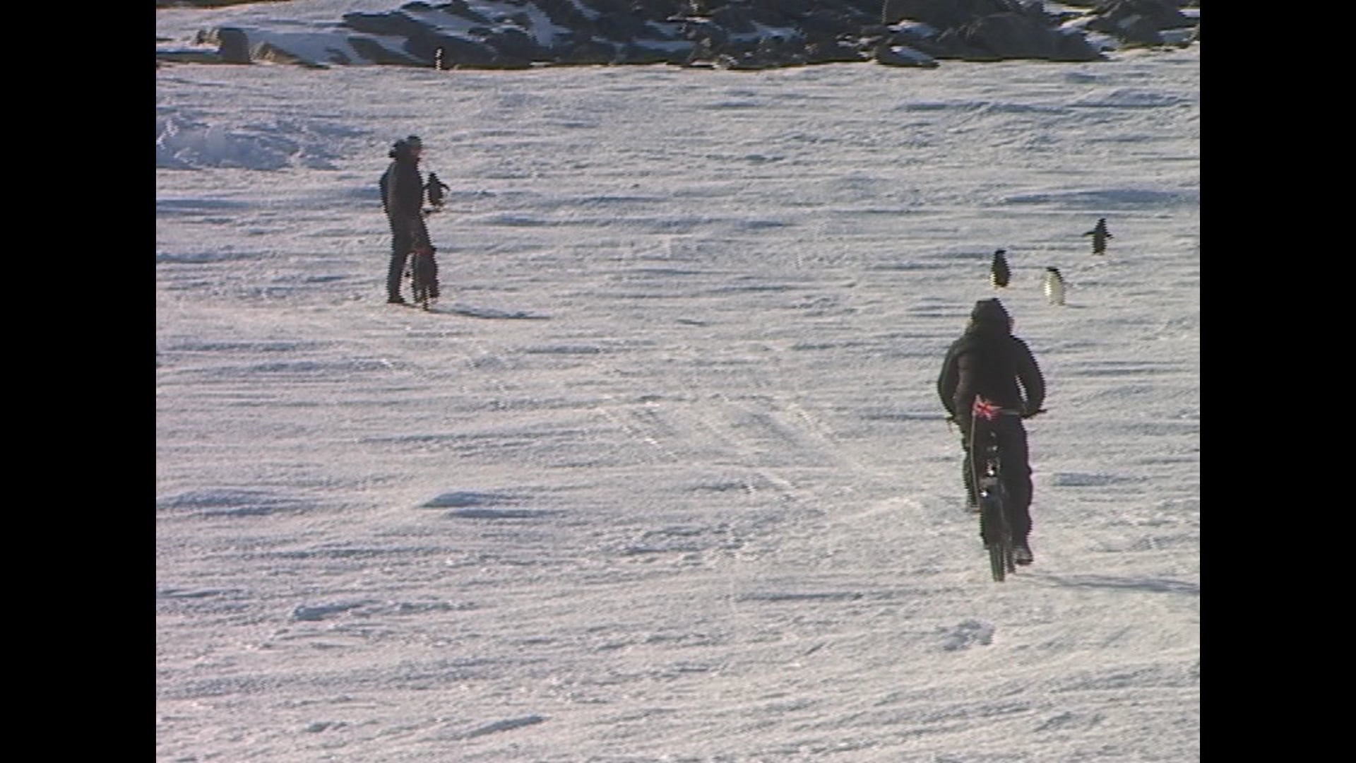 Antarctica | Unedited  