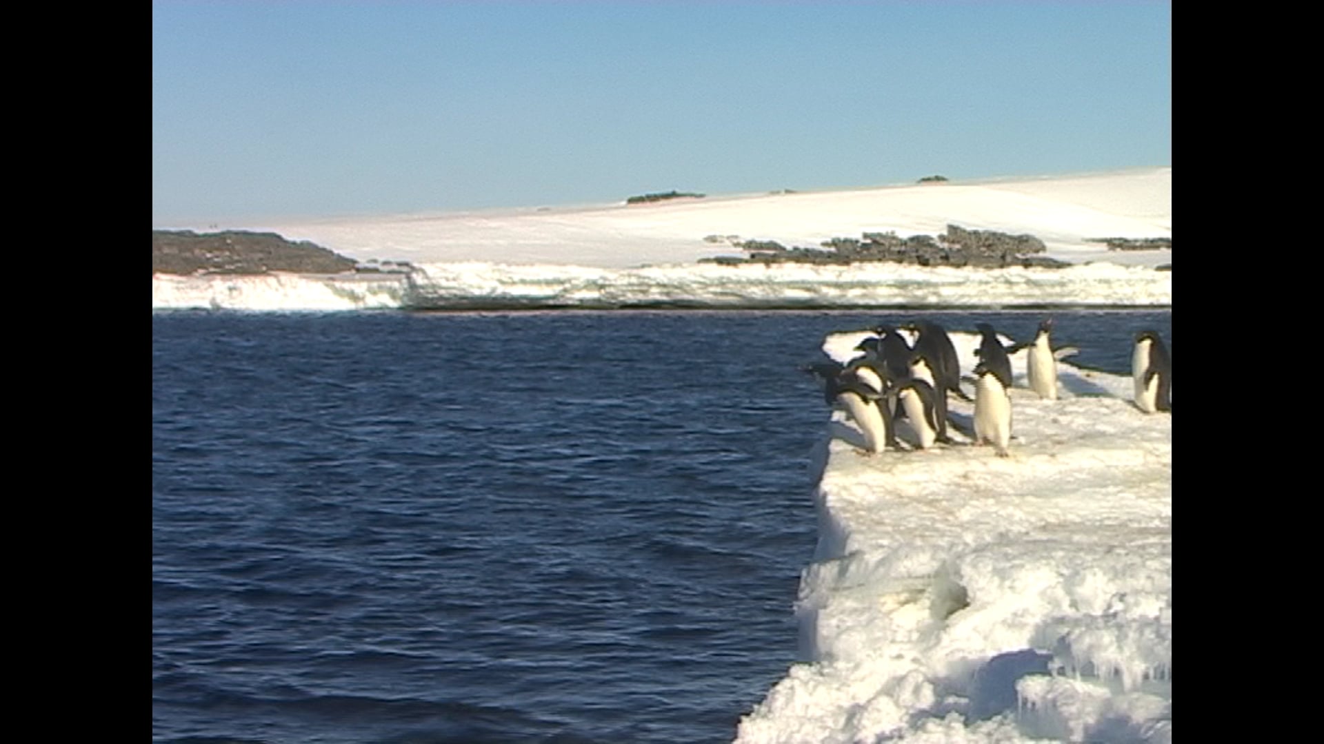 Will they jump before the battery runs out | Bonus Clip